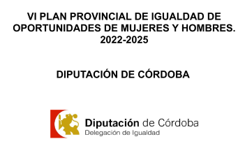 VI PLAN PROVINCIAL DE IGUALDAD DE OPORTUNIDADES DE MUJERES Y HOMBRES.     2022-2025